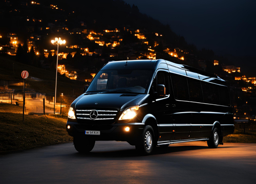 Şehirlerarası Transfer